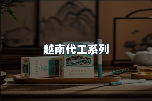 越南代工系列